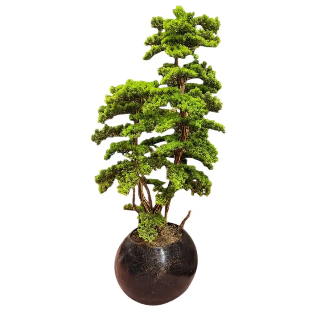 BONZAİ AĞAÇ TASARIM (170 CM)